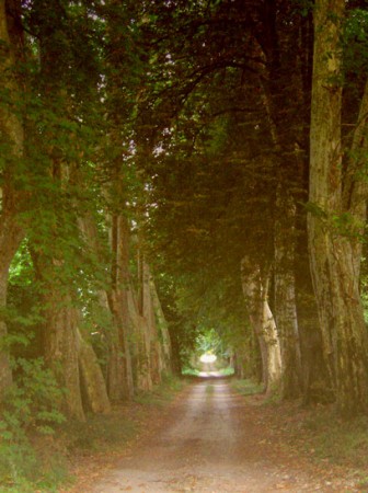 Allée privée .... de calèches