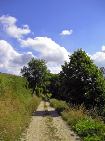 Ce chemin qui m'éloigne de toi