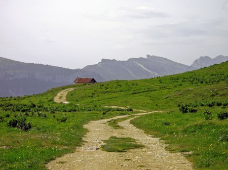 Ce chemin qui me ramène ...