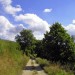 Ce chemin qui m'éloigne de toi