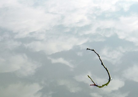Comme dans les nuages