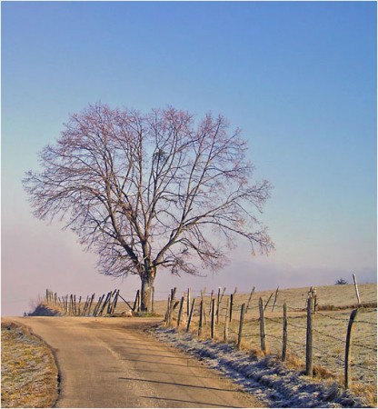 A la croisée des chemins