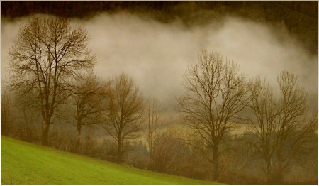 Caressés par la brume