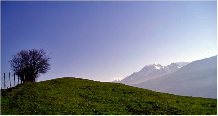 Le gardien du Vallon