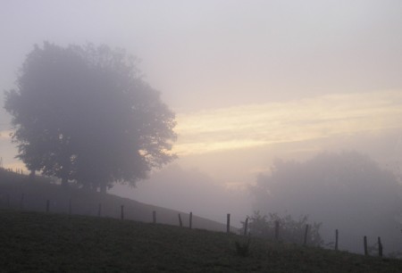 Seul dans la brume