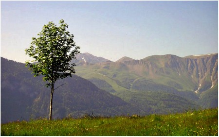 Seul au bord du vide