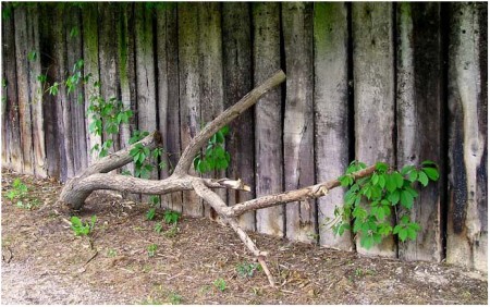 Au pied des planches