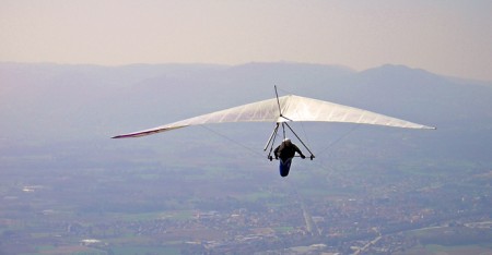 Fais comme l'oiseau