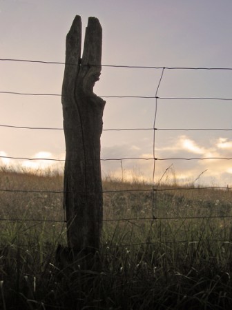 Le totem emprisonné