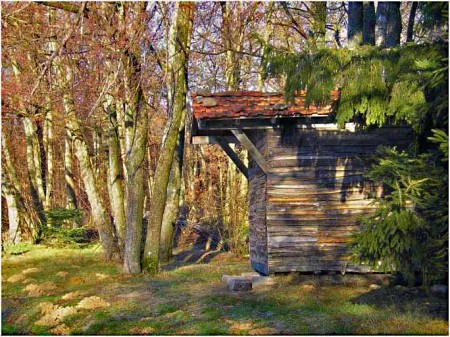 Ma cabane au fond des bois