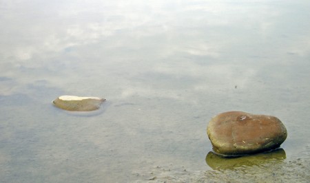 Aquatique