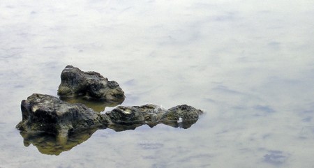 Le monstre de pierre