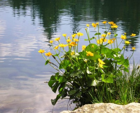 Les pieds dans l'eau