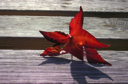 En rouge et gris