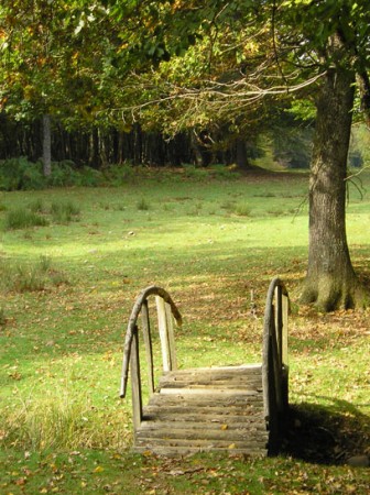 Le petit pont de bois