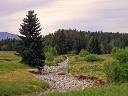 Le ruisseau de cailloux