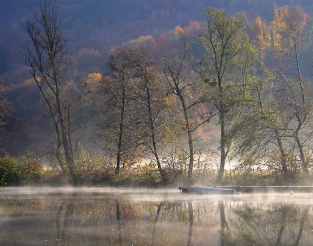 Un matin sur le lac