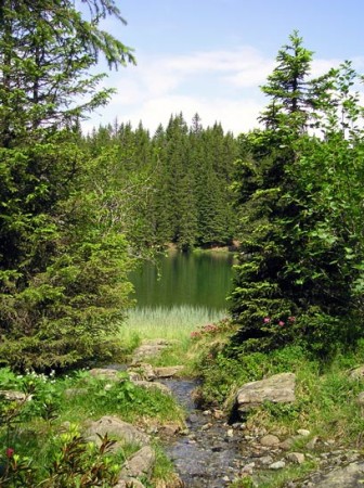 Avec vue sur le lac